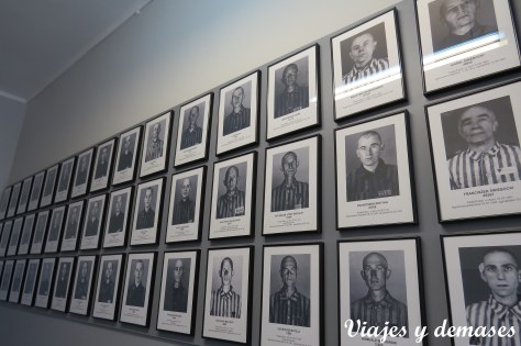 Son varios los pabellones que muestran cientos de fotos de prisioneros polacos. 