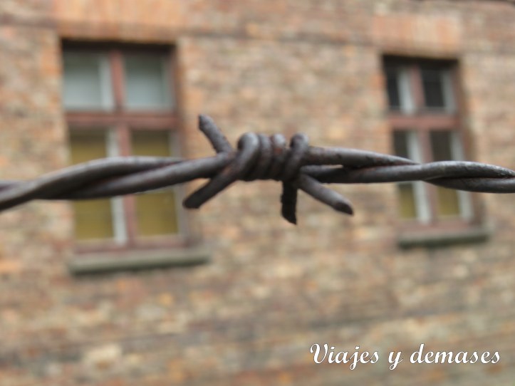 Todo el recinto está cercado.