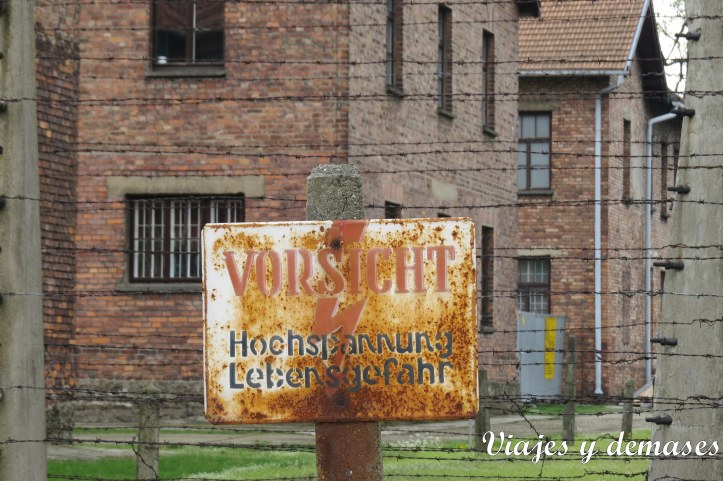 Para evitar las fugas mantenían cercos eléctricos.