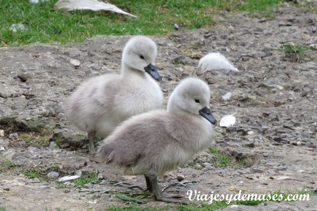 ???????????????????????????????