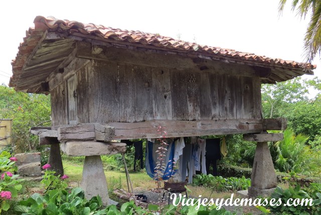 Las piedras cuadradas que sostiene el hórreo, impiden que los ratones puedan subir. Si se fijan, los peldaños que permiten subir al hórreo no están en contacto con la construcción. Hay que dar un paso largo.