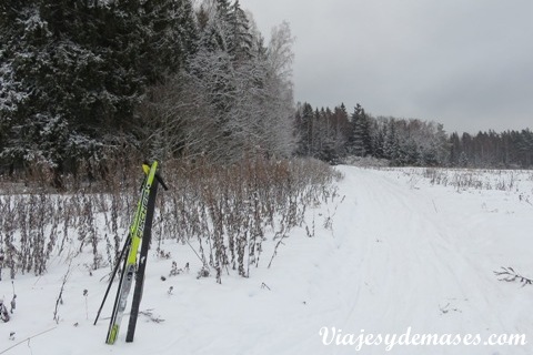 Paisaje Esquí de fondo Paisaje Esquí de fondo