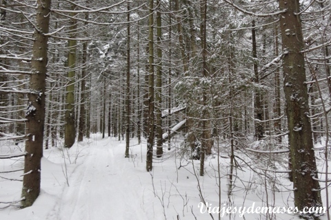 Sendero esquí de fondo Sendero esquí de fondo