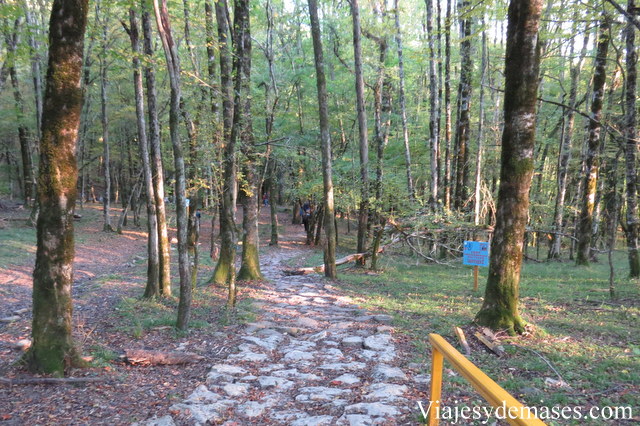 Parque Nacional de Sochi.