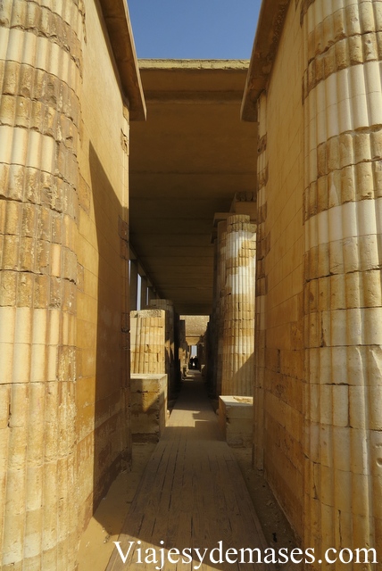 Las columnas representan los troncos de las palmeras.