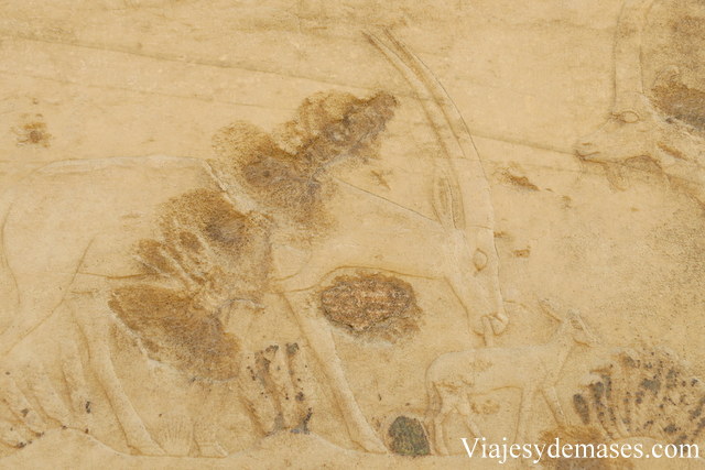 Este es el que más me gustó.