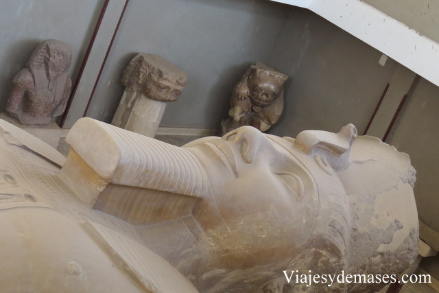 Coloso de Ramsés, Memphis, Egipto.
