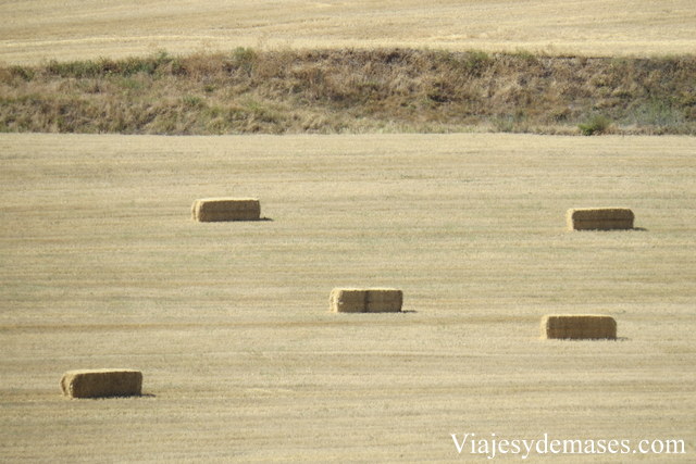 Segovia, campos de trigo.